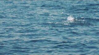 морская рыбалка в Muscat Oman топвотер по yellowfin tuna и яркие выходы