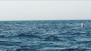 морская рыбалка в Muscat Oman топвотер по yellowfin tuna и яркие выходы