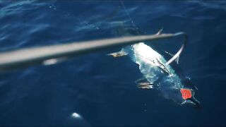 морская рыбалка в Muscat Oman топвотер по yellowfin tuna и яркие выходы