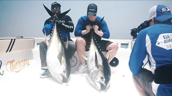 Маскат, yellowfin сверху и дельфины - рыбалка в Омане по topwater
