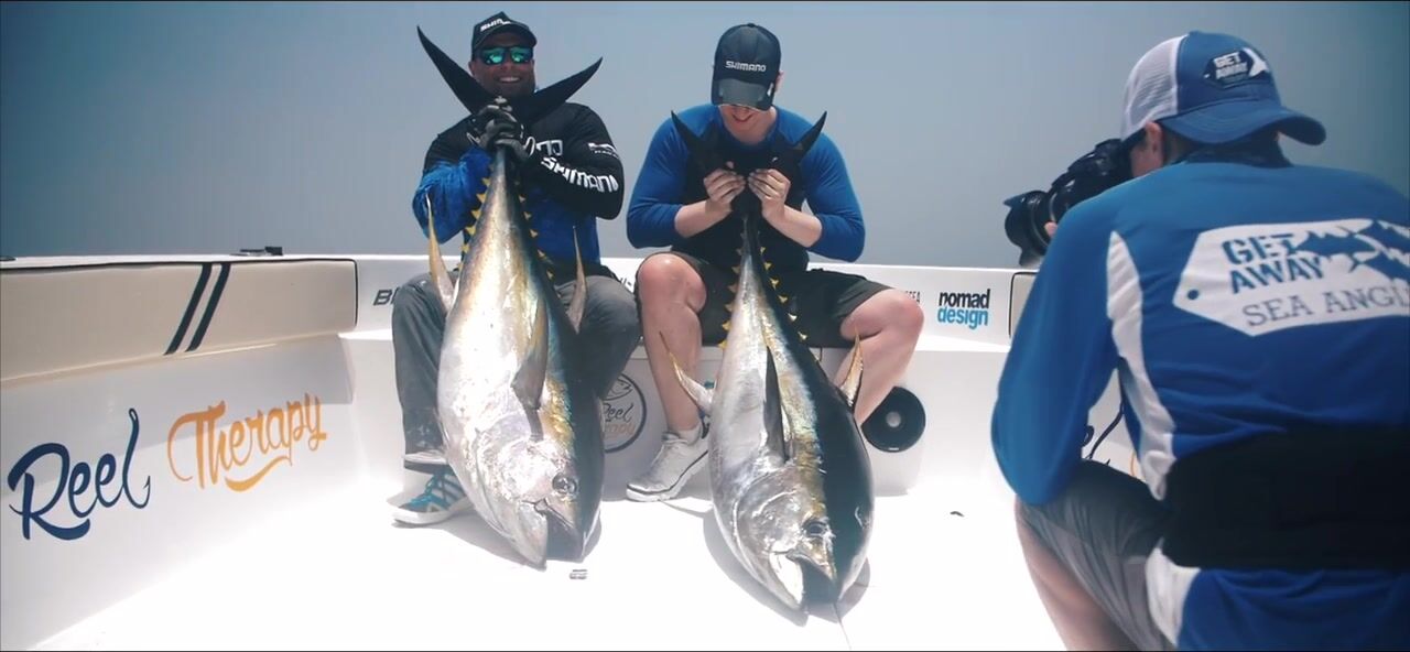Маскат, yellowfin сверху и дельфины - рыбалка в Омане по topwater