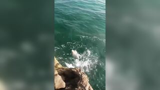 Hunting GT в Oman: поппинг, приключение и красивые места