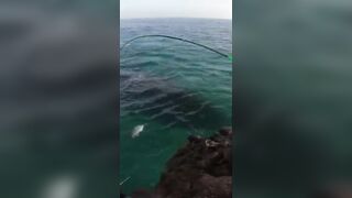 Hunting GT в Oman: поппинг, приключение и красивые места