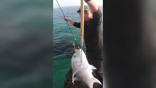 Hunting GT в Oman: поппинг, приключение и красивые места