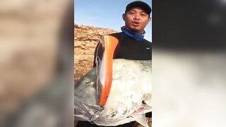 Hunting GT в Oman: поппинг, приключение и красивые места