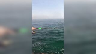 Hunting GT в Oman: поппинг, приключение и красивые места