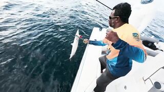 Осенняя рыбалка в Омане: когда клюет GT и есть ли смысл ехать за морем в несезон