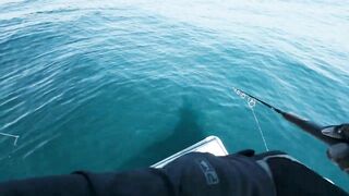 Осенняя рыбалка в Омане: когда клюет GT и есть ли смысл ехать за морем в несезон