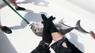 Осенняя рыбалка в Омане: когда клюет GT и есть ли смысл ехать за морем в несезон