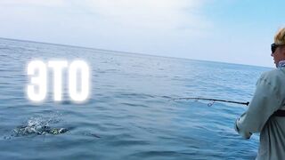 Здесь ли самые большие GT: морская рыбалка в Южном Омане и охота за трофейным гигантом