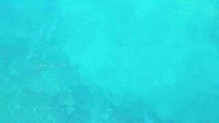 Здесь ли самые большие GT: морская рыбалка в Южном Омане и охота за трофейным гигантом