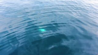 Здесь ли самые большие GT: морская рыбалка в Южном Омане и охота за трофейным гигантом