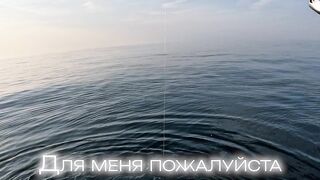 Здесь ли самые большие GT: морская рыбалка в Южном Омане и охота за трофейным гигантом