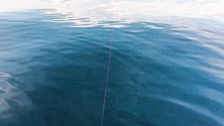 Здесь ли самые большие GT: морская рыбалка в Южном Омане и охота за трофейным гигантом