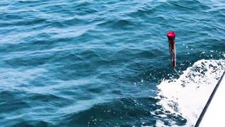 Здесь ли самые большие GT: морская рыбалка в Южном Омане и охота за трофейным гигантом