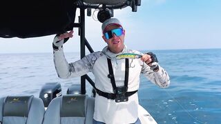 Здесь ли самые большие GT: морская рыбалка в Южном Омане и охота за трофейным гигантом