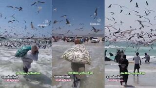 سلطنة عمان: морская рыбалка в Омане и что ловят у берега