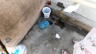 GoPro Hero9 POV - ловля у Hua Hin Fishing Pier глазами рыбака и тест камеры