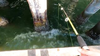 GoPro Hero9 POV - ловля у Hua Hin Fishing Pier глазами рыбака и тест камеры