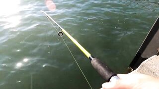 GoPro Hero9 POV - ловля у Hua Hin Fishing Pier глазами рыбака и тест камеры