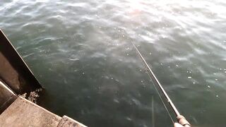 GoPro Hero9 POV - ловля у Hua Hin Fishing Pier глазами рыбака и тест камеры