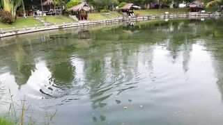 Hua Hin Fishing Lodge: mekong catfish и как держать удары на вываживании