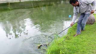 Hua Hin Fishing Lodge: mekong catfish и как держать удары на вываживании