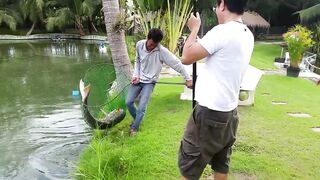 Hua Hin Fishing Lodge: mekong catfish и как держать удары на вываживании