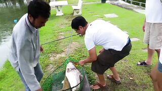 Hua Hin Fishing Lodge: mekong catfish и как держать удары на вываживании