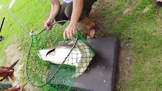 Hua Hin Fishing Lodge: mekong catfish и как держать удары на вываживании