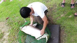 Hua Hin Fishing Lodge: mekong catfish и как держать удары на вываживании