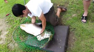 Hua Hin Fishing Lodge: mekong catfish и как держать удары на вываживании