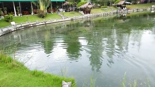 Hua Hin Fishing Lodge: mekong catfish и как держать удары на вываживании