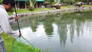 Hua Hin Fishing Lodge: mekong catfish и как держать удары на вываживании