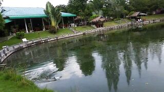 Hua Hin Fishing Lodge: mekong catfish и как держать удары на вываживании