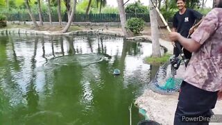 Hua Hin Fishing Lodge Sep 2024 гигантский сиамский карп и тяжелая борьба