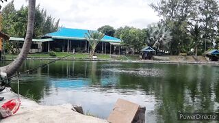 Hua Hin Fishing Lodge Sep 2024 гигантский сиамский карп и тяжелая борьба