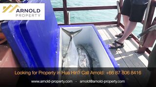 Fishing Trip with Arnold что за поездка и какая рыба попалась в итоге