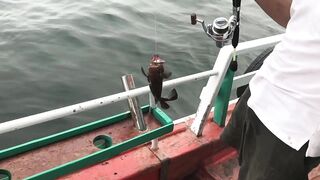 Таиланд, Hua Hin - рыбалка на базе и что по условиям для гостей