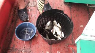 Таиланд, Hua Hin - рыбалка на базе и что по условиям для гостей