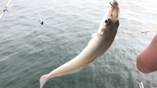 Таиланд, Hua Hin - рыбалка на базе и что по условиям для гостей