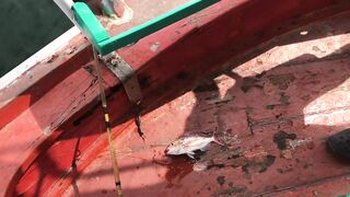 Таиланд, Hua Hin - рыбалка на базе и что по условиям для гостей