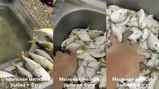 Таиланд, Хуа Хин: простой вечерний улов с берега и несколько поклевок для души