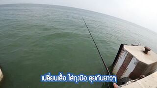 หัวหิน: морская ловля когда рыба заходит и пакет почти рвется от улова