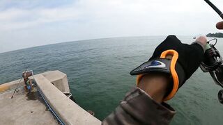 หัวหิน: морская ловля когда рыба заходит и пакет почти рвется от улова