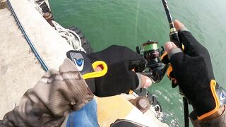 หัวหิน: морская ловля когда рыба заходит и пакет почти рвется от улова