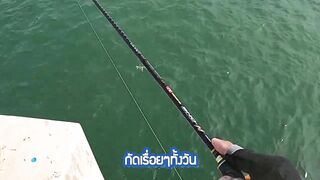 หัวหิน: морская ловля когда рыба заходит и пакет почти рвется от улова