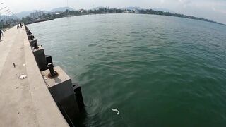 หัวหิน: морская ловля когда рыба заходит и пакет почти рвется от улова