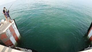 หัวหิน: морская ловля когда рыба заходит и пакет почти рвется от улова