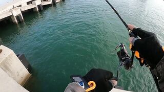 หัวหิน: морская ловля когда рыба заходит и пакет почти рвется от улова